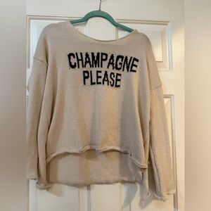 Champagne Please Beige Sweater